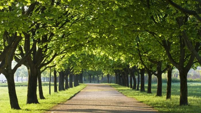 В Астане сквер возле торгового центра "Керуен" передадут в госсобственность
В Астане сквер возле торгового центра "Керуен" передадут в госсобственность