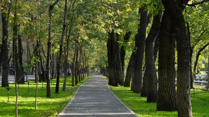 Благоустройство проспекта Достык в Алматы начнут в мае
Благоустройство проспекта Достык в Алматы начнут в мае