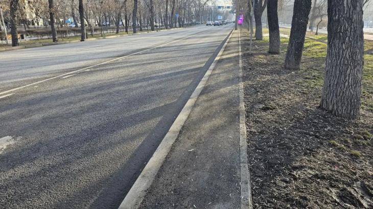 
                                                                                                                                                                                                                                                                                                                                                                                                                                                                                                                                                                                                                                        На нескольких улицах Алматы проложат технические тротуары: для чего они нужны
                                                    