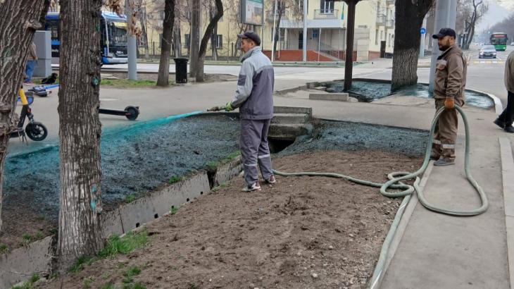 "Покраску" газонов объяснили в акимате Алматы
"Покраску" газонов объяснили в акимате Алматы