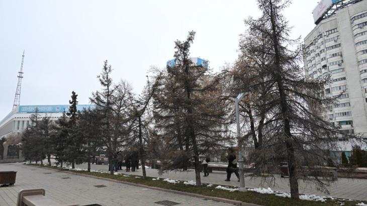 
                                                                                                                                                                                                                                                                                                                                                                                                                                                                                                                                                                                                                                        72 дерева вырубят на площади Республики и вдоль проспекта Аль-Фараби в Алматы
                                                    