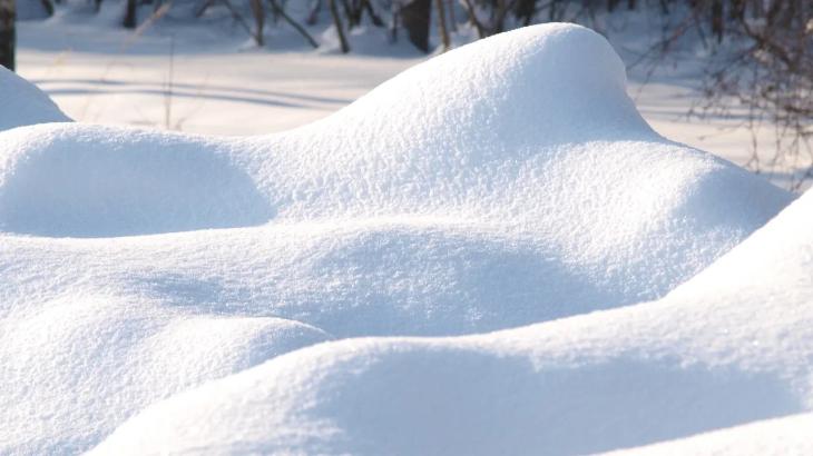 Алматинцев предупредили о лавинной опасности
Алматинцев предупредили о лавинной опасности