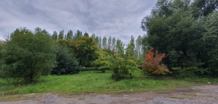 Жители отстояли сквер, на месте которого хотели построить ЖК в Астане
Жители отстояли сквер, на месте которого хотели построить ЖК в Астане