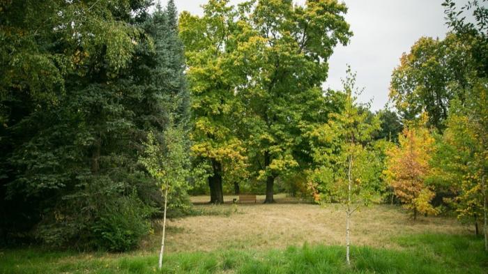 Жители отстояли сквер, на месте которого хотели построить ЖК в Астане
Жители отстояли сквер, на месте которого хотели построить ЖК в Астане