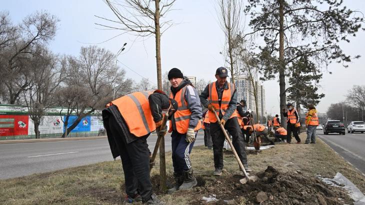 Почему мешающие автомобилистам Алматы работы по проспекту Аль-Фараби не проводят ночью
Почему мешающие автомобилистам Алматы работы по проспекту Аль-Фараби не проводят ночью