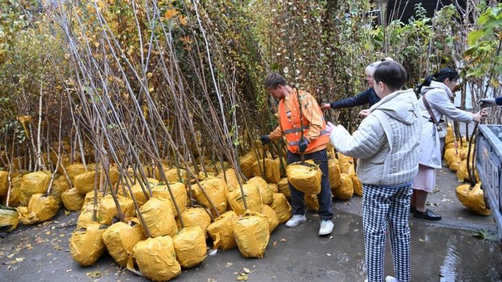 
                                                                                                                                                                                                                                                                                                                                                                                                                                                                Где жители Алматы смогут получить бесплатные саженцы для озеленения дворов
                                                    