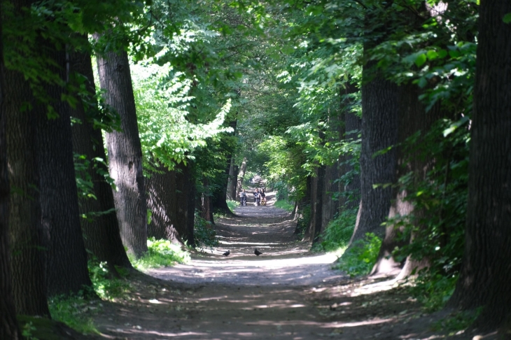 
                                                                                                                                                                                                                                                                                        Алматыда Баум тоғайы мен Үлкен Алматы каналын абаттандыру маусым айында басталады
                                                    