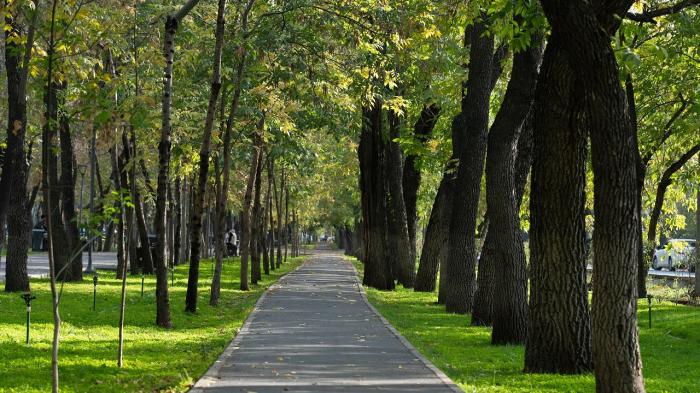 Центральный парк в Астане начали благоустраивать
Центральный парк в Астане начали благоустраивать