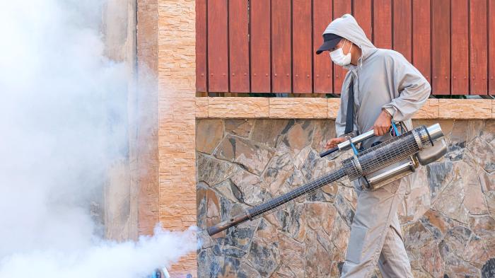 Борьбу с грызунами начнут в Астане в апреле
Борьбу с грызунами начнут в Астане в апреле