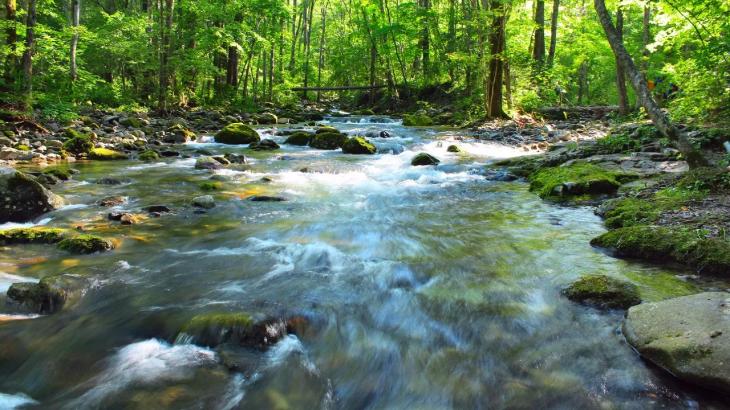 Девятиклассница упала в горную реку во время фотосессии в Алматы
Девятиклассница упала в горную реку во время фотосессии в Алматы