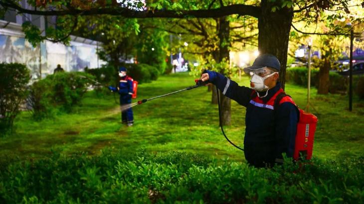 
                                                                                                                                                                                                                                                                                                                                                                            Нашествие древесных клопов в Алматы: что стало причиной
                                                            