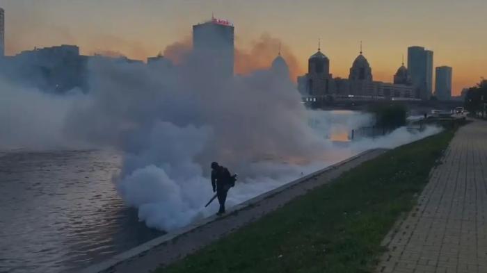 Против комаров и мошек: третий тур дезинсекционных работ начался в Астане
Против комаров и мошек: третий тур дезинсекционных работ начался в Астане