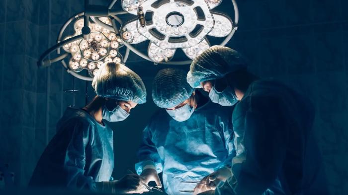 
                                                                                                                                                                                                                                                                                                                                                                                                                                                                                                                                                                                                                                                                                                                                                                                                                                                            В Жамбылской области пересадка органов спасла жизни нескольких человек
                                                            