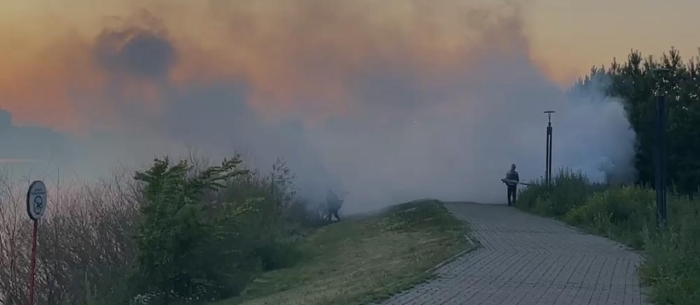 Против комаров и мошек: третий тур дезинсекционных работ начался в Астане
Против комаров и мошек: третий тур дезинсекционных работ начался в Астане