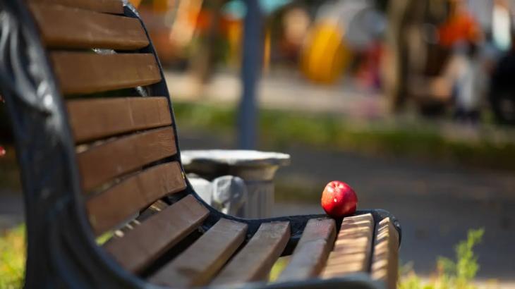 Часть улицы Пушкина в Алматы перекроют для создания пешеходной аллеи
Часть улицы Пушкина в Алматы перекроют для создания пешеходной аллеи