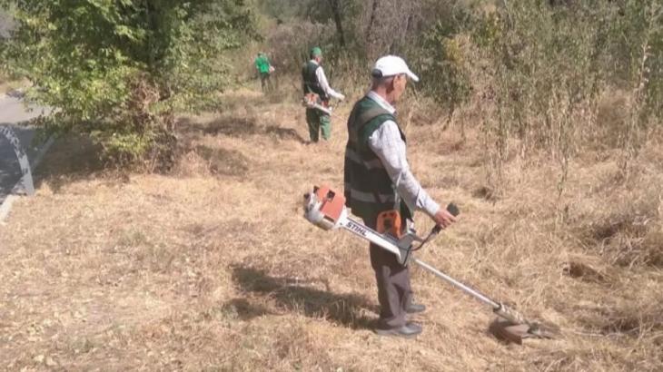 Пятый класс пожарной опасности установили в Алматы из-за жары: в городе активно косят сухую траву
Пятый класс пожарной опасности установили в Алматы из-за жары: в городе активно косят сухую траву