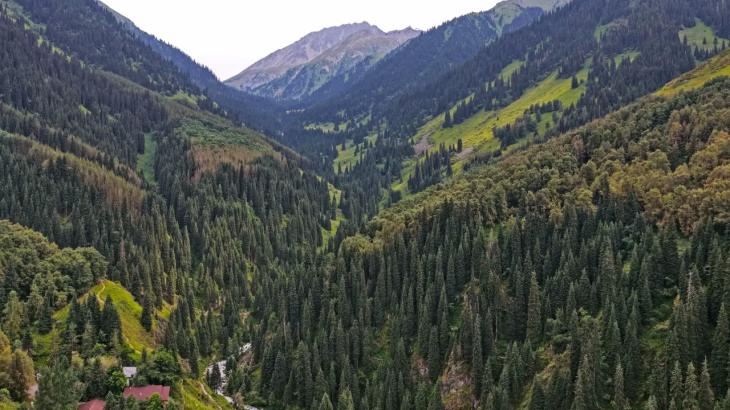 В горах Алматы нашли тело 20-летнего парня, пропавшего два дня назад
В горах Алматы нашли тело 20-летнего парня, пропавшего два дня назад