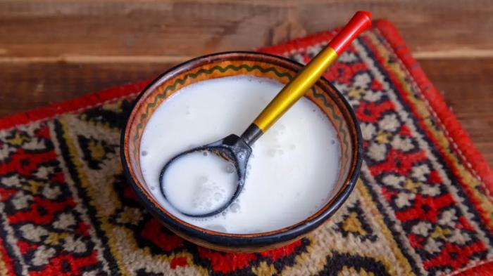 
                                                                                                                                                                                                                                                                                                                                                                                                                                                                                                                                                                                                                    "Аналог Октоберфеста". Фестиваль кумыса пройдёт в Астане
                                                            