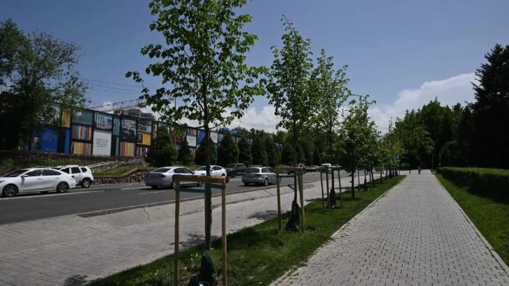 
                                                                                                                                                                                                                                                        Алматыда күзгі кезеңде 53 мыңнан астам ағаш егіледі
                                                            