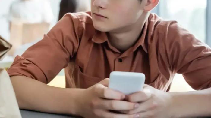 Изъято 20 sim-карт: мошенники втянули подростка из Астаны в преступную схему
Изъято 20 sim-карт: мошенники втянули подростка из Астаны в преступную схему