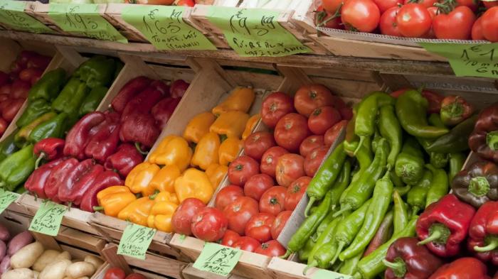 Туркестанские аграрии привезут свою продукцию на ярмарку в Астану
Туркестанские аграрии привезут свою продукцию на ярмарку в Астану