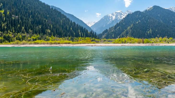 
                                                                                                                                                                                                                                                                                                                                                                                                                                                                                                                                                                                                                    Незаконно установленный шлагбаум у озера Иссык убрали после жалоб туристов
                                                            