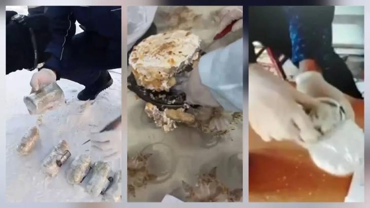 Адвокаты пытались пронести телефон для подозреваемого в СИЗО Алматы
Адвокаты пытались пронести телефон для подозреваемого в СИЗО Алматы