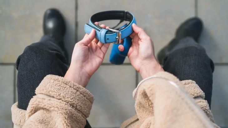 Гибель собаки на базе отдыха в Алматы объяснили несчастным случаем, полиция завела уголовное дело
Гибель собаки на базе отдыха в Алматы объяснили несчастным случаем, полиция завела уголовное дело