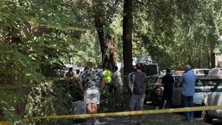 Ветка дерева упала на девушку в Алматы: она погибла
Ветка дерева упала на девушку в Алматы: она погибла