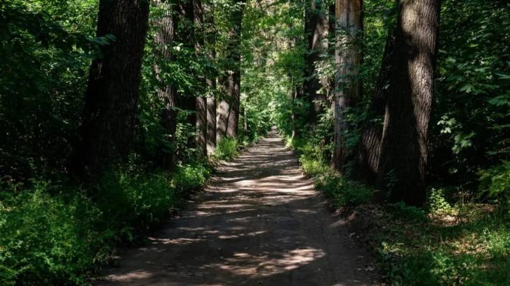 
                                                                                                                                                                                                                                                                                                                                                                                                                                                                                                                                                                                                                                                                                                                                        Благоустройство рощи Баума в Алматы завершится раньше намеченного срока
                                                            