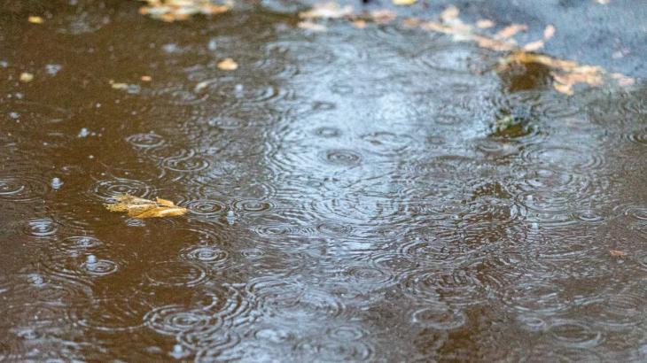 Арыки не справились: в Алматы выпала половина месячной нормы осадков
Арыки не справились: в Алматы выпала половина месячной нормы осадков