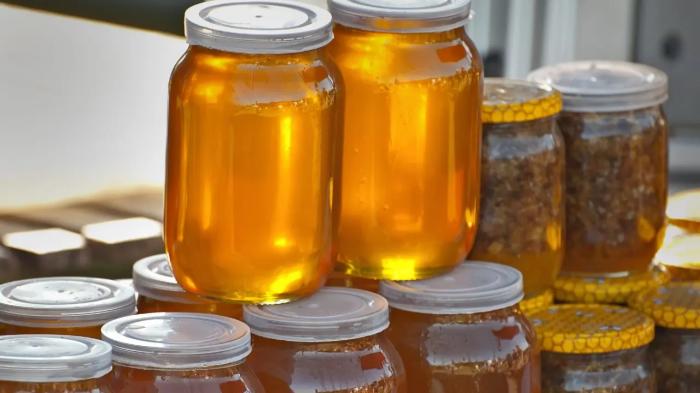 Рыбу из Атырау и мёд из Семея привезут на ярмарку в Астане
Рыбу из Атырау и мёд из Семея привезут на ярмарку в Астане