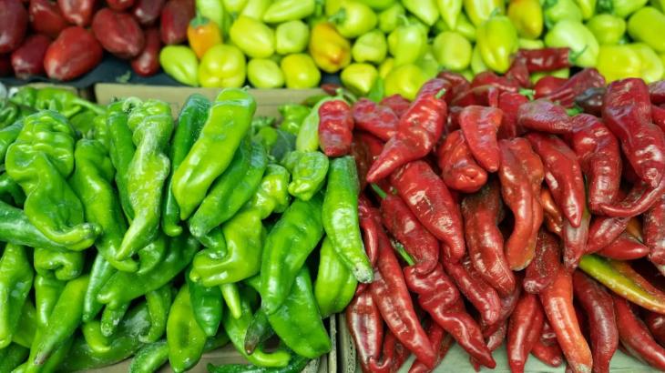 Продукты со скидками до 15%: сельскохозяйственные ярмарки будут проходить в Алматы каждые выходные
Продукты со скидками до 15%: сельскохозяйственные ярмарки будут проходить в Алматы каждые выходные