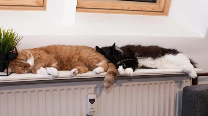 В Астане начался отопительный сезон
В Астане начался отопительный сезон