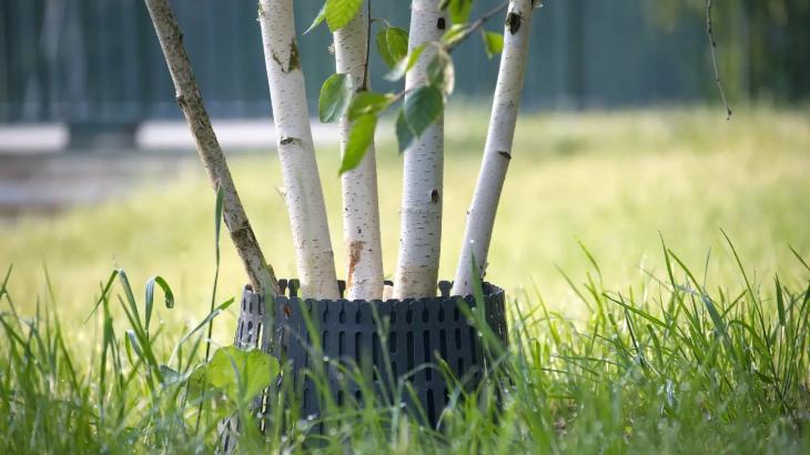 
                                                                                                                                                                                                                                                                                                                                                                                                                                                                                                Общегородской субботник объявили в Алматы
                                                            