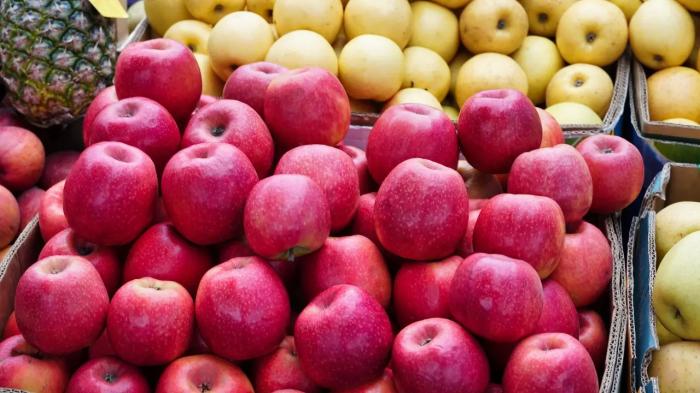 
                                                                                                                                                                                                                                                                                                                                                                                                                                                                                                                                                                                                                                                                                                                                                                                                                                                            Ярмарка пройдёт в Астане 11 и 12 октября: что можно будет купить
                                                            