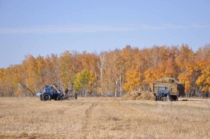 Последняя из Студеного. Казахстанка почти 20 лет одна живет в селе-призраке