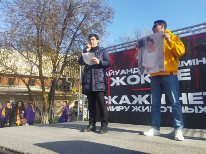 "Хватит закрывать глаза на насилие": митинг прошел в Алматы