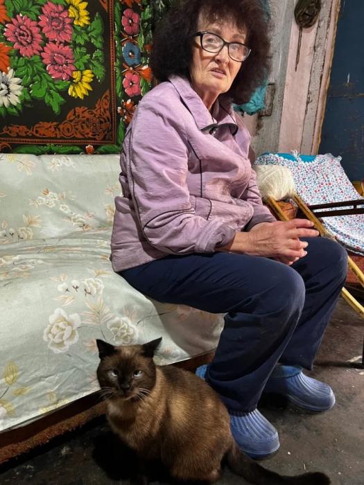 “Мы никому не нужны, кроме них“. Казахстанка “отдала“ свой дом кошкам “Мы никому не нужны, кроме них“. Казахстанка “отдала“ свой дом кошкам