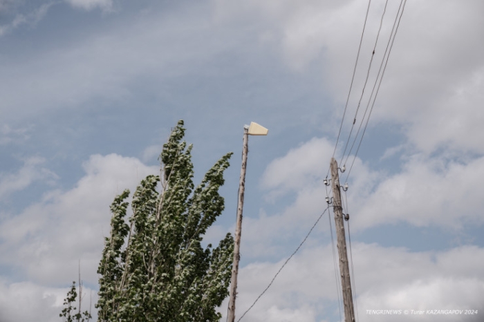 "Было 120 дворов, осталось - 14". Как в области Абай лесники не дают умереть целому селу "Было 120 дворов, осталось - 14". Как в области Абай лесники не дают умереть целому селу