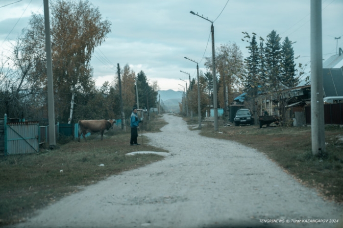 “За все надо бороться“. Как на востоке Казахстана живет село с необычной историей