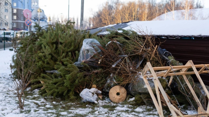 
                                                                                                                                                                                                                                                                                                                                                                                                                                                                Жители Алматы могут сдать живые ели в зоопарк
                                                    