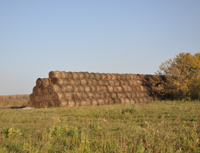 Последняя из Студеного. Казахстанка почти 20 лет одна живет в селе-призраке