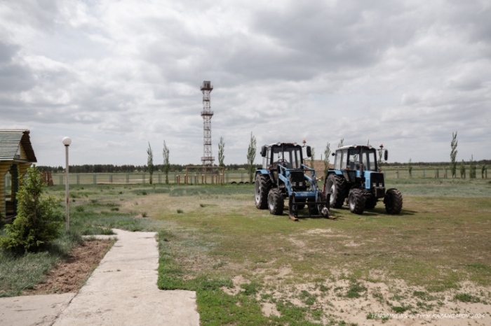 "Было 120 дворов, осталось - 14". Как в области Абай лесники не дают умереть целому селу "Было 120 дворов, осталось - 14". Как в области Абай лесники не дают умереть целому селу