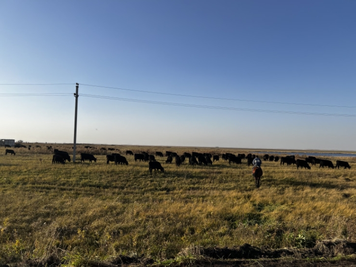 Последняя из Студеного. Казахстанка почти 20 лет одна живет в селе-призраке