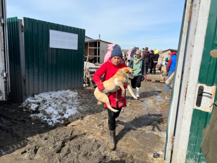 Эвакуируют даже эвакопункты: Петропавловск в ожидании самой большой воды в истории города Эвакуируют даже эвакопункты: Петропавловск в ожидании самой большой воды в истории города