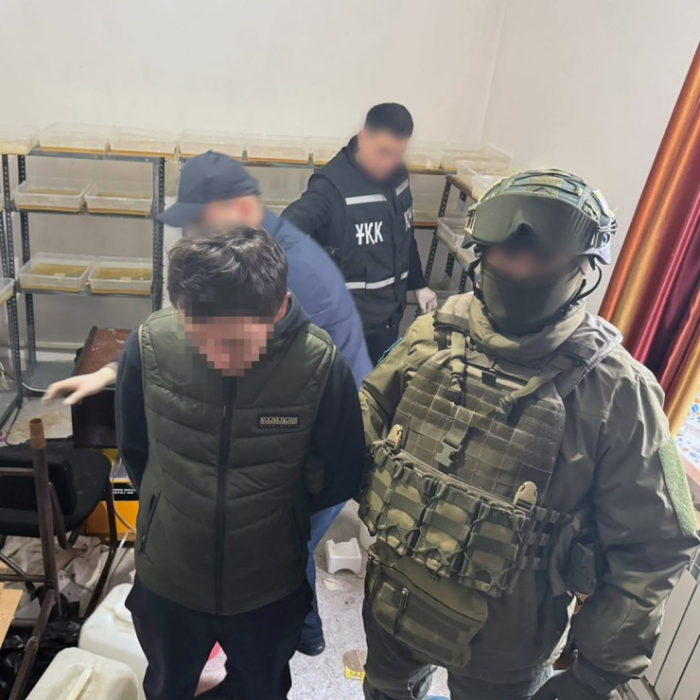 Задержание Перизат Кайрат, увеличение пенсий: обзор новостей за 14 ноября