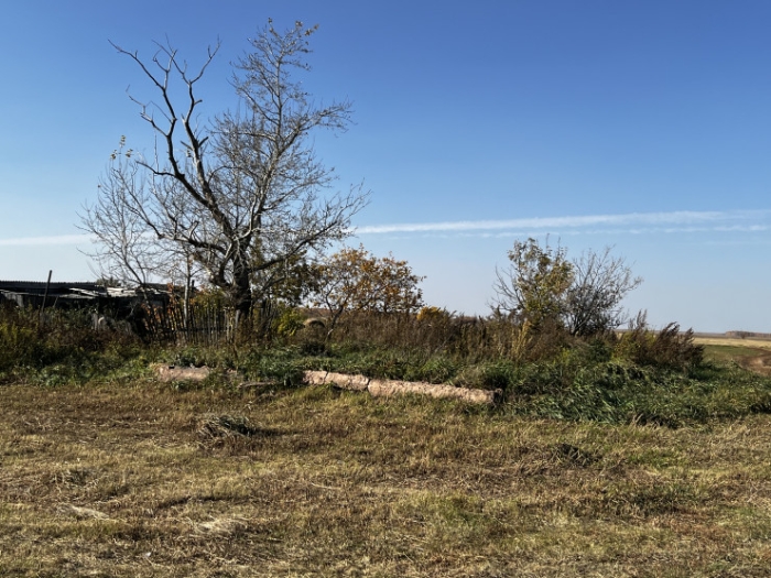 Последняя из Студеного. Казахстанка почти 20 лет одна живет в селе-призраке