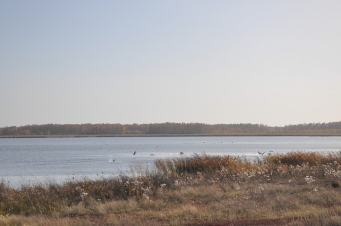 Последняя из Студеного. Казахстанка почти 20 лет одна живет в селе-призраке