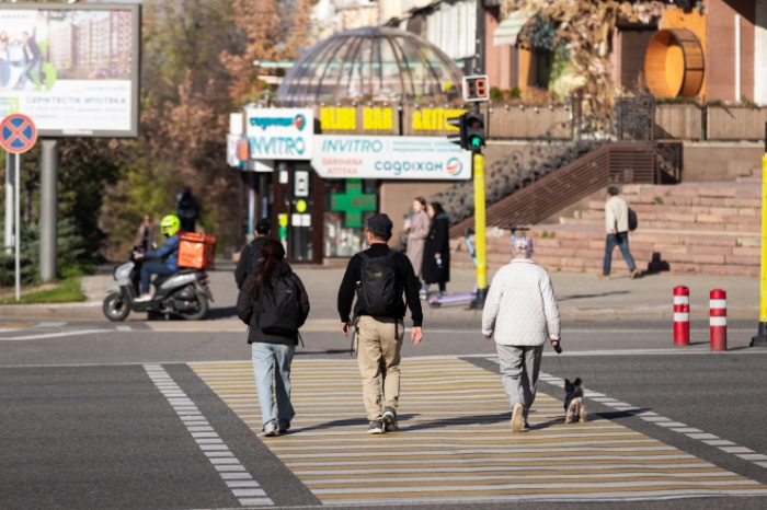 Всеобщее декларирование: зачем казахстанцам отчитываться и чего ждать в будущем
